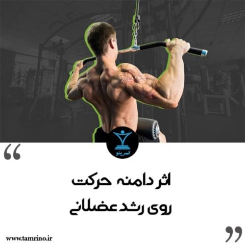  پادکستاثر دامنه حرکت روی رشد عضلانی