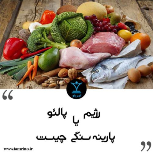  پادکسترژیم پالئو یا پارینه سنگی چیست؟