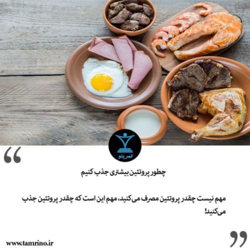  پادکستچطور پروتئین بیشتری جذب کنیم