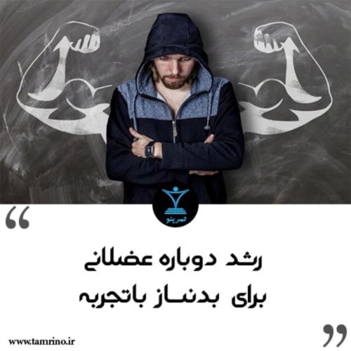  پادکسترشد دوباره عضلانی برای بدنساز باتجربه