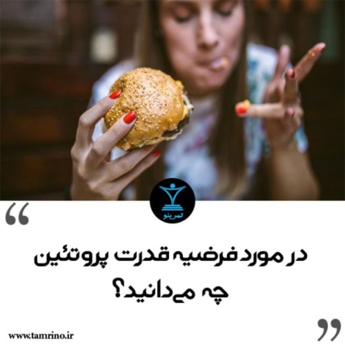  پادکستدر مورد فرضیه قدرت پروتئین چه می‌دانید؟