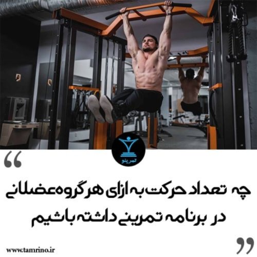  پادکستچه تعداد حرکت به ازای هر گروه عضلانی در برنامه تمرینی داشته باشیم