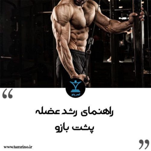  پادکستراهنمای رشد عضله پشت بازو