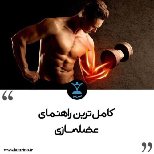  پادکستنسخه صوتی مقاله: کامل ترین راهنمای عضله سازی