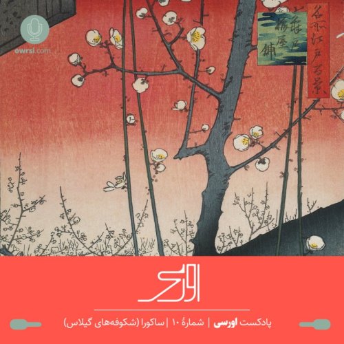  پادکستقسمت دهم پادکست اورسی | ساکورا (شکوفه های گیلاس)