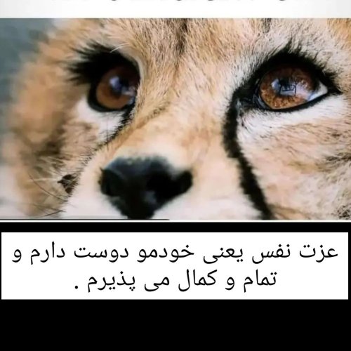  پادکستعزت نفس بهت کمک میکنه دریکپارچگی زندگی کنی .