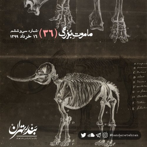  پادکستسی و ششم | ماموت بزرگ