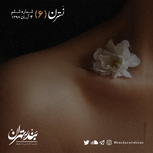  پادکستششم | نسترن