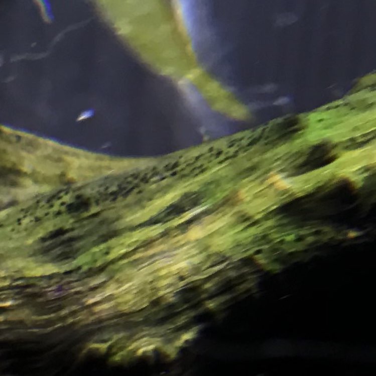  پادکستtest hahaha