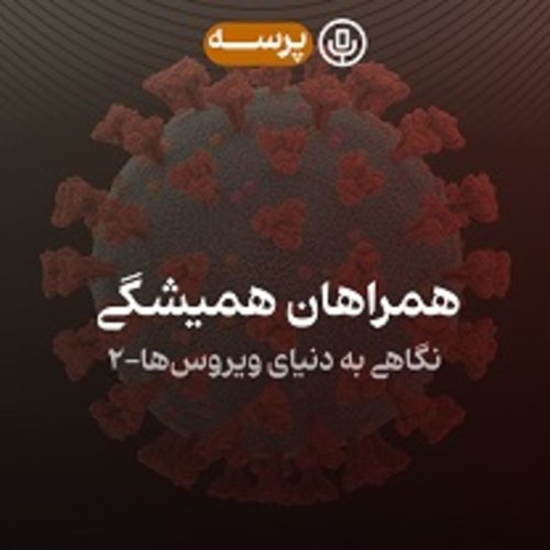  پادکست25- Permanent Companions II (همراهان همیشگی ۲)