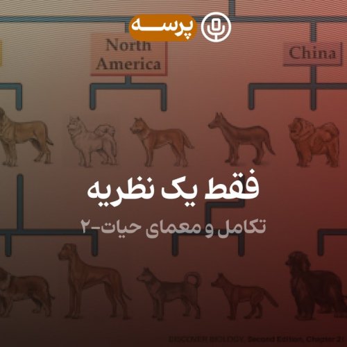  پادکست21- Just a Theory II (فقط یک نظریه ۲)