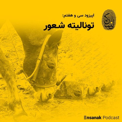  پادکستسی و هفتم: تونالیته شعور