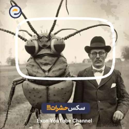  پادکستراز‌های موفقیت جنسی حشرات ـ چرا حشرات انقدر تو تولید مثل موفقن ؟