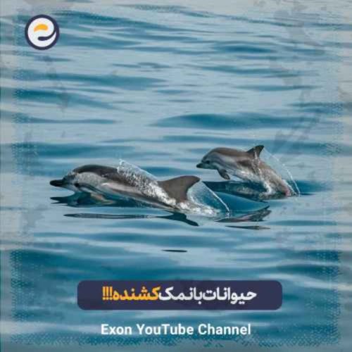  پادکستحیوانات بانمکی که باورتون نمیشه چقدر میتونن کشنده باشن!