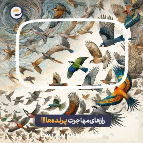  پادکستاپیـزود ویژه _پروازهای شگفت‌انگیز پرندگان: رازهای مهاجرت