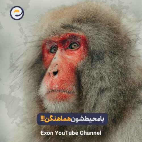  پادکستراز طراحی بدن حیوانات | از پوست سخت حشرات تا پرهای رنگارنگ پرندگان!