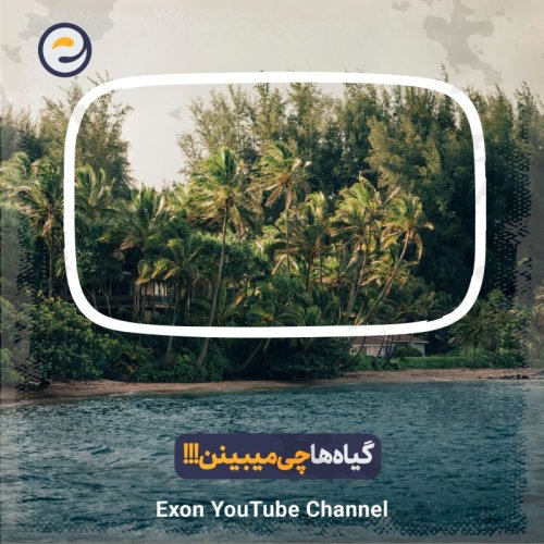  پادکستباور کنین یا نه، گیاهان شما رو می‌بینن!