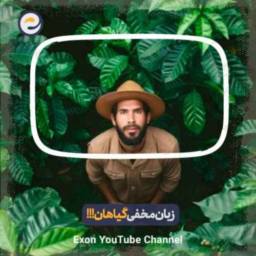  پادکستحقایق شوکه‌آور در مورد زبان مخفی گیاهان: گیاهان هم بو می‌کشن