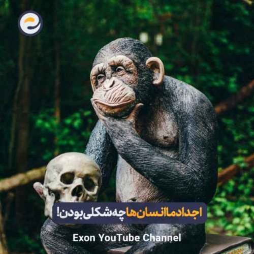  پادکستقدیمی ترین اجداد انسان | انسان های اولیه واقعا چه شکلی بودند؟!