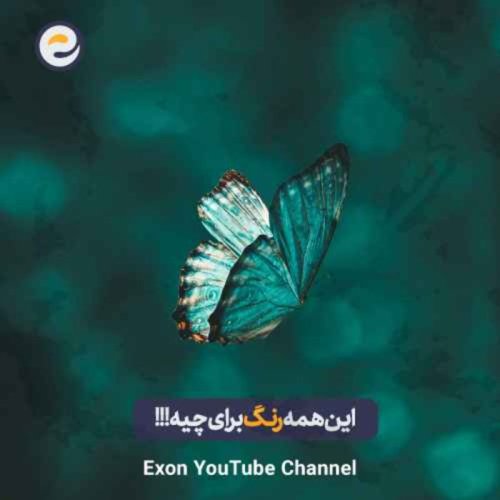  پادکستچرا پروانه‌ها و پرنده‌ها این‌قدر رنگی هستن؟ | زیبایی در خدمت بقا