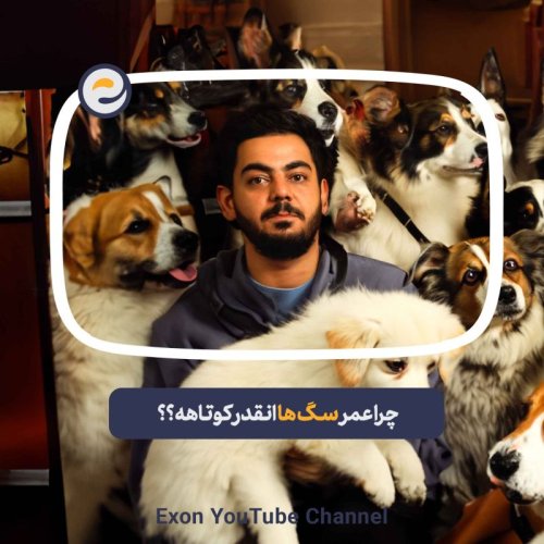  پادکستاپیـزود ویژه _ چرا عمر سگ ها انقدر کوتاهه، میشه عمرشون رو بیشتر کرد؟