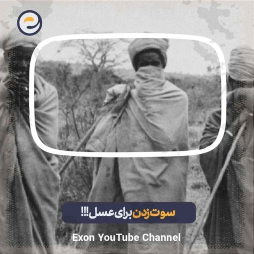  پادکست راز علاقه انسان به شیرینی چیه؟