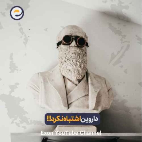  پادکستچرا نظریه زیبایی داروین همه چیز را تغییر داد | انتخاب جنسی!