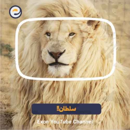  پادکستشیرها خطرناک‌ترین شکارچیان جنگل