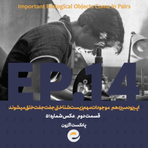  پادکستاپــیزود چهاردهم | سریال موجودات مهم زیست شناختی جفت جفت خلق میشوند قسمت دوم؛ عکس شماره 51
