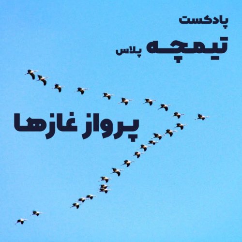  پادکستتیمچه پلاس: پرواز غازها