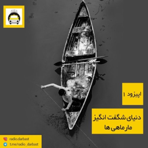  پادکستاپیزود اول رادیو دربست ، دنیای شگفت انگیز مارماهی‌ها 
