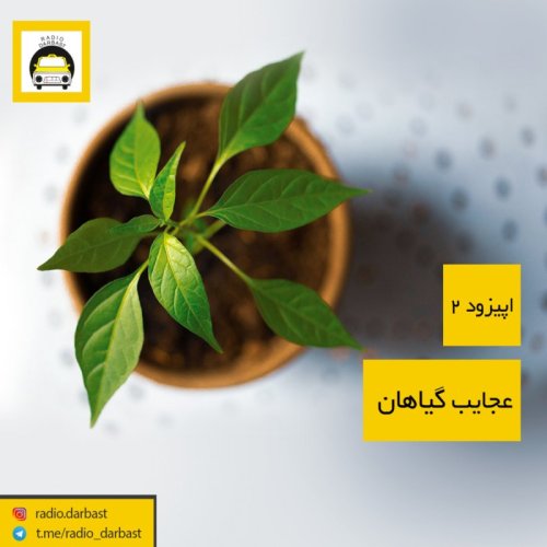  پادکستاپیزود دوم رادیو دربست ، عجایب گیاهان 