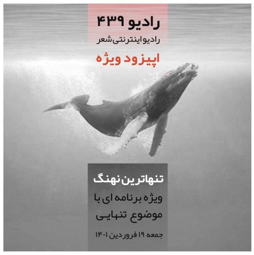  پادکسترادیو ۴۳۹-اپیزود ویژه-تنهاترین نهنگ