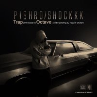 Shock track