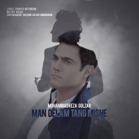 محمدرضا گلزار من دلم تنگ میشه