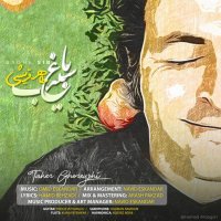 طاهر قریشی باغ سیب