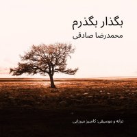 محمدرضا صادقی بگذار بگذرم