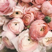  پادکست 03 | Lets have a mindful valentines day this year!