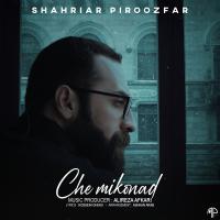 شهریار پیروزفر چه میکند