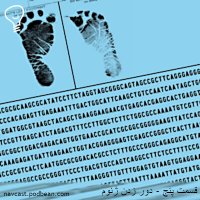 Episode 5 - Circumventing The Human Genome