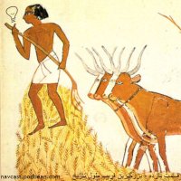 Episode Iazedeh - Bezeregeterin Ferib Tevel Hisetorey