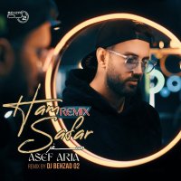 Hamsafar (Remix) track