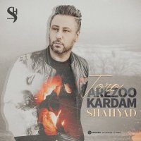 آهنگ شهیاد تو رو آرزو کردم