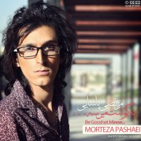 مرتضی پاشایی به گوشت میرسه