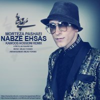 آهنگ Nabze Ehsas (Kawoos Hosseini Remix)