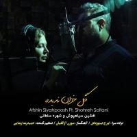 Gole Khazan Nadideh (ft. Shohreh Soltani)
