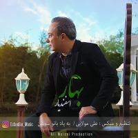 Bahar