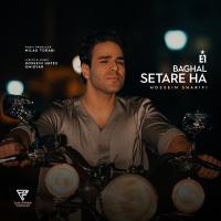 Baghale Setareha