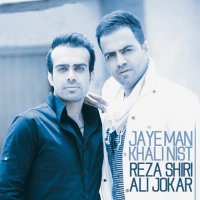 Jaye Man Khali Nist (Ft. Ali Jokar) track