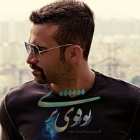 امیر خلوت تو قوی تری